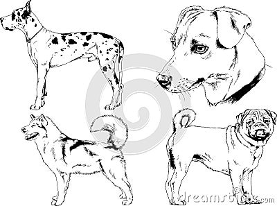 Vector drawings sketches pedigree dogs and cats drawn in ink by hand Vector Illustration